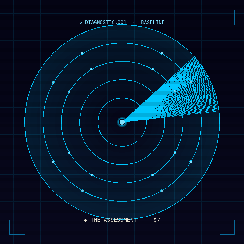 The Assessment — diagnostic radar
